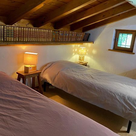 Chalet Erminea Chamonix Mont Blanc Exterior foto